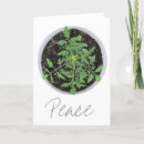 Pesquisar por tomates cartoes Qualquer pessoa