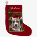 Pesquisar por pitbull meias de natal Animal