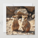 Pesquisar por canguru australiano cartoes Quokka