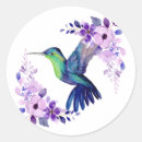 Pesquisar por hummingbird adesivos Colorido