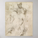 Pesquisar por anatomia de da vinci Leonardo