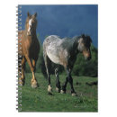 Pesquisar por mustang cadernos de notas Equestre