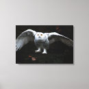 Pesquisar por pássaro preto impressão de canvas Branco