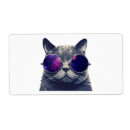 Pesquisar por gatinho etiquetas Engraçado