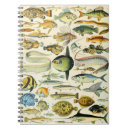 Pesquisar por fish cadernos de notas Natureza