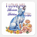 Pesquisar por arte do mexicana adesivos Componente genérico