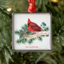 Pesquisar por cardeal do natal Simples