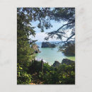 Pesquisar por porteiro cartoes Floresta