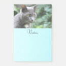 Pesquisar por gatos post its Administrative professional