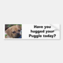 Pesquisar por puggles Cães