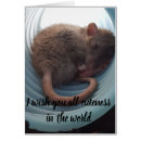 Pesquisar por cuteness Animal