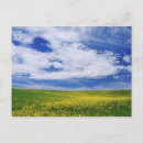 Pesquisar por canola cartoes postais Paisagem