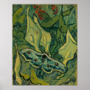 Pesquisar por rémy de provence pósteres pôsteres Vincent van gogh