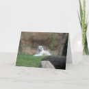 Pesquisar por tigre branco cartoes Animal