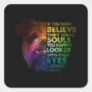 Pesquisar por pitbull adesivos Raça bulosa