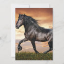 Pesquisar por cavalo selvagem convites Animal