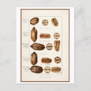 Pesquisar por altura cartoes postais Aquarela