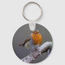 Pesquisar por pisca pisca chaveiros Natureza