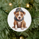 Pesquisar por american staffordshire terrier ornamentos Pit bull