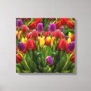Pesquisar por flores coloridas impressão de canvas Jardinagem