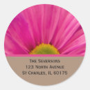 Pesquisar por gerberas adesivos Floração