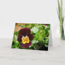 Pesquisar por viola cartoes Pansy