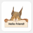 Pesquisar por squirrel adesivos Esquilo