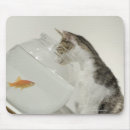 Pesquisar por fishbowl Horizontal