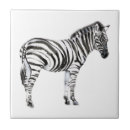 Pesquisar por zebra azulejos Animais