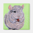 Pesquisar por chinchila imas Animal