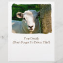 Pesquisar por fazenda flyers Animais de criação