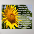 Pesquisar por salmos 62 Bíblia