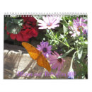 Pesquisar por borboleta calendarios 2011