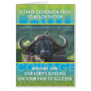 Pesquisar por búfalo africano cartoes postais Animal