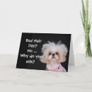 Pesquisar por shih tzu puppy cartoes Cute