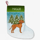 Pesquisar por vizsla meias de natal Cão