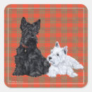 Pesquisar por westies adesivos Animais