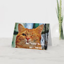 Pesquisar por gato mau cartoes Engraçado