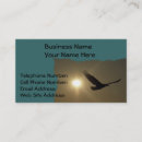 Pesquisar por águias americanas cartao de visita Aves