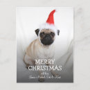 Pesquisar por advento natal cartoes Cão