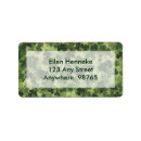 Pesquisar por trevo etiquetas Trevo de quatro folhas