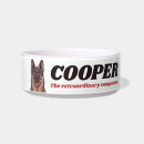Pesquisar por german shepherd Texto