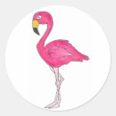 Pesquisar por flamingo adesivos Aves