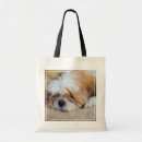 Pesquisar por shih tzu bolsas Filhote de cachorro