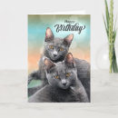 Pesquisar por do gato bff cartoes convites Friend