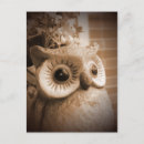 Pesquisar por pássaros noturnos cartoes Noite