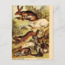 Pesquisar por coelho vintage cartoes postais Pintura