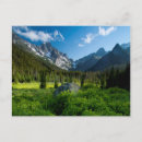 Pesquisar por washington state cartoes postais Eua