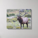 Pesquisar por nacional impressão de canvas Colorado