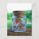 Pesquisar por sea shell cartoes postais Casca